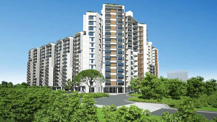 ABC Real Estate Ltd.